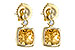 D243-68317: EARR 1.66 CITRINE 1.70 TGW