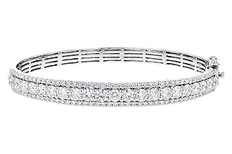 D328-18299: BANGLE 5.60 TW